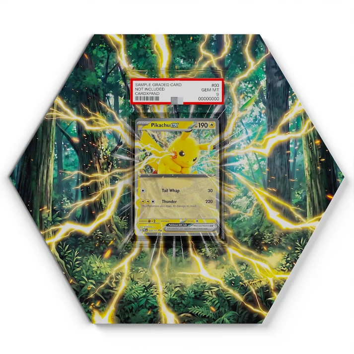 028131 Pikachu EX Pokémon Card Artwork Hexagon Display