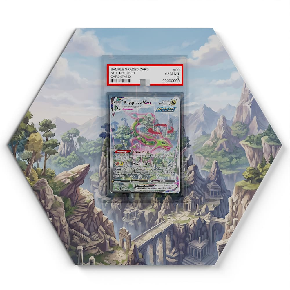 218/203 Rayquaza VMAX Pokémon Card Artwork Hexagon Display