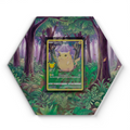 005/025 Pikachu  Pokémon Card Artwork Hexagon Display