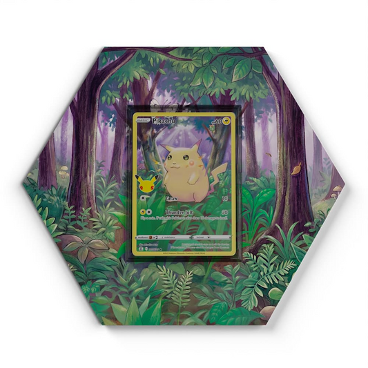 005/025 Pikachu  Pokémon Card Artwork Hexagon Display