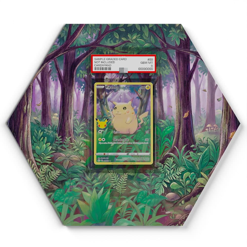 005/025 Pikachu  Pokémon Card Artwork Hexagon Display