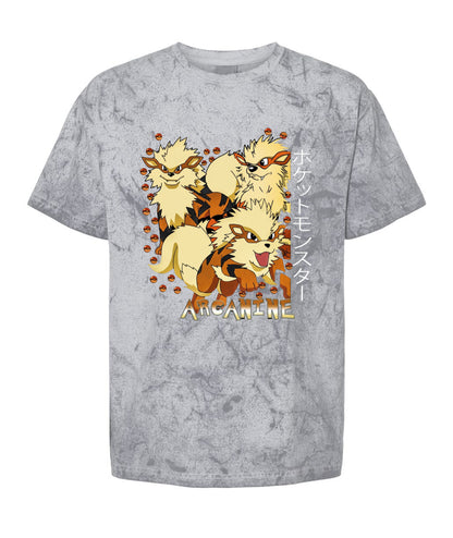 PKM Arcanine Printed Graphic Sweatshirt T-Shirt