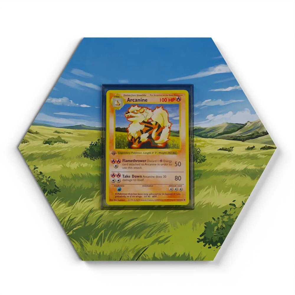 23/102 Arcanine  Pokémon Card Artwork Hexagon Display