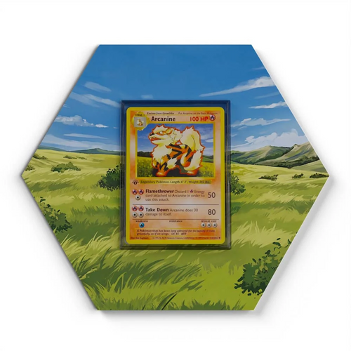 23/102 Arcanine  Pokémon Card Artwork Hexagon Display