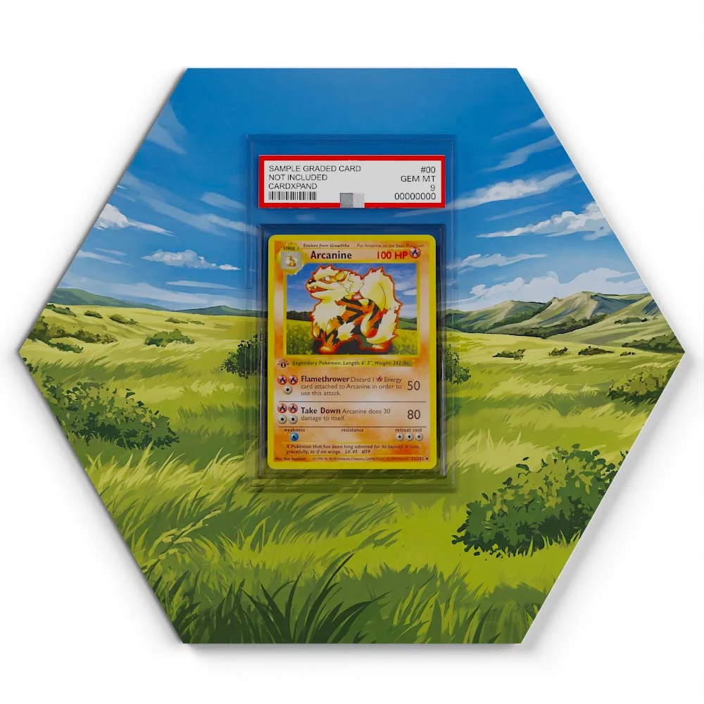 23/102 Arcanine  Pokémon Card Artwork Hexagon Display