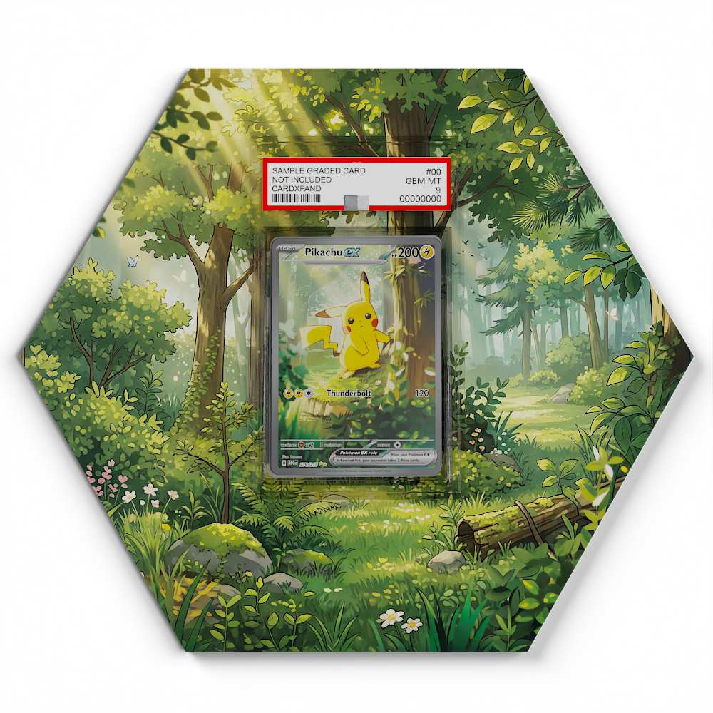 276/217 Pikachu EX  Pokémon Card Artwork Hexagon Display