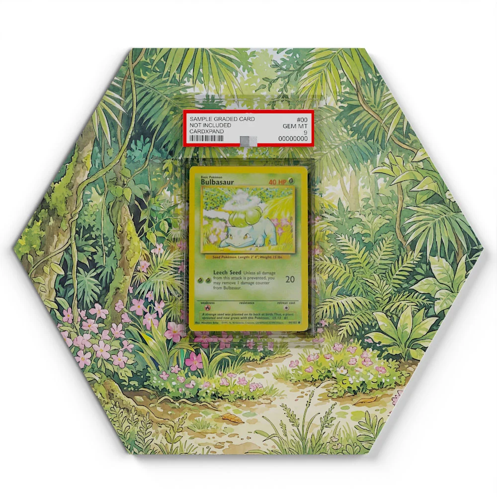 44/102 Bulbasaur Pokémon Card Artwork Hexagon Display