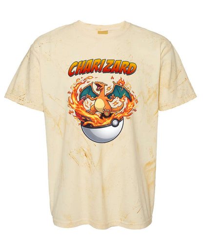 PKM Charizard Printed Graphic Sweatshirt T-Shirt