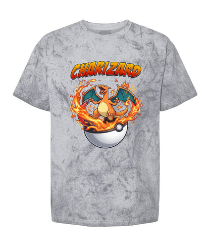 PKM Charizard Printed Graphic Sweatshirt T-Shirt