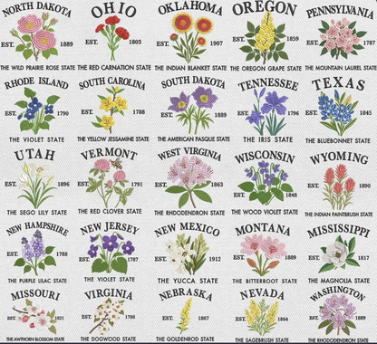 Custom State Embroidered Tote Bag – Personalized State Flower Canvas Bag, Vintage Striped Beach Tote